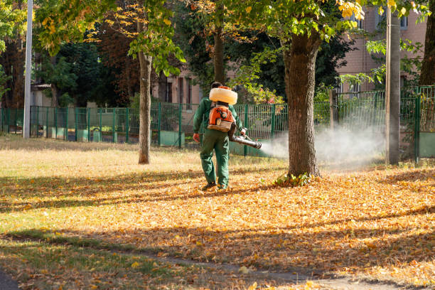 Best Local Pest Control Services  in Riverdale, NJ