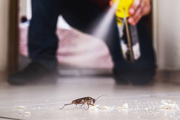 Reliable Riverdale, NJ Pest Control Solutions