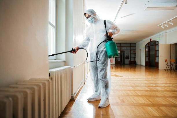 Best Ant Control Services  in Riverdale, NJ