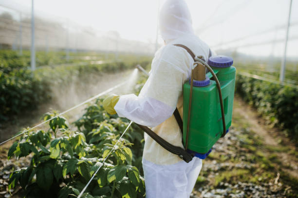 Best Pest Inspection Near Me  in Riverdale, NJ